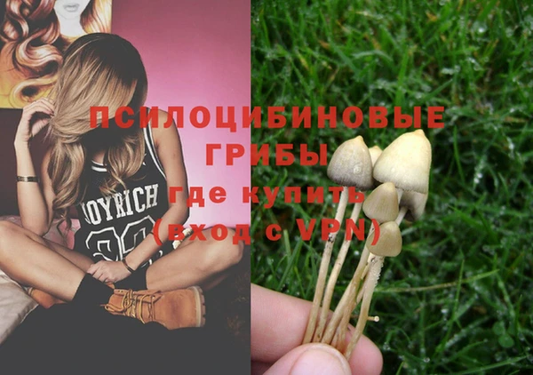 прущие грибы Алзамай