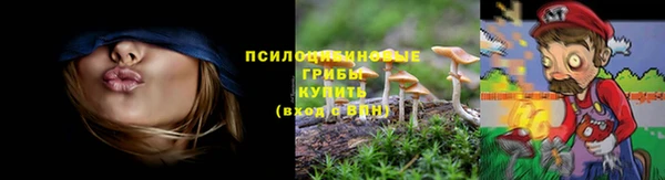 прущие грибы Алзамай