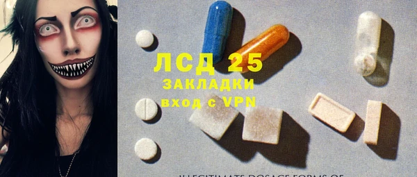 прущие грибы Алзамай