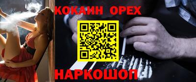 бошки Кингисепп