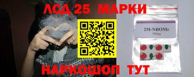 бошки Кингисепп
