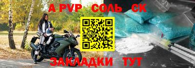 бошки Кингисепп