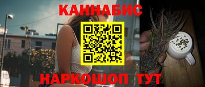 бошки Кингисепп