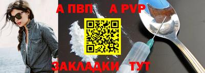 бошки Кингисепп