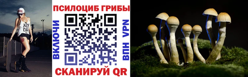 продажа наркотиков мега зеркало Псилоцибиновые грибы мицелий Усинск